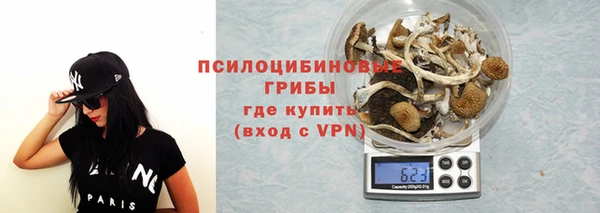 трава Пересвет