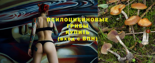 мдпв Видное