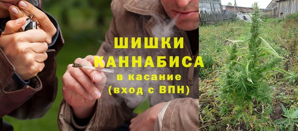 трава Пересвет