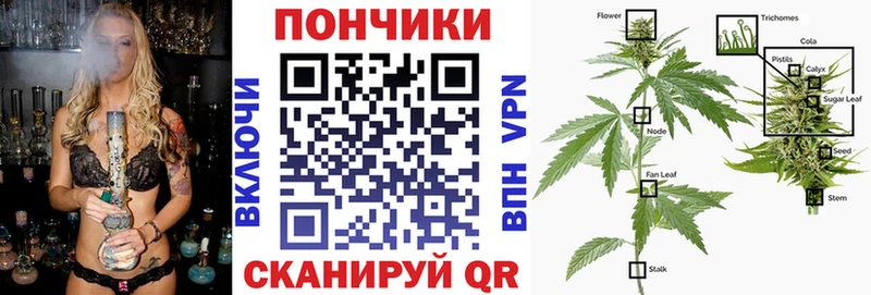 Бошки марихуана THC 21%  магазин    Знаменск 